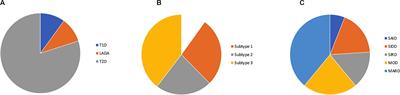 Heterogeneity of Metabolic Defects in Type 2 Diabetes and Its Relation to Reactive Oxygen Species and Alterations in Beta-Cell Mass